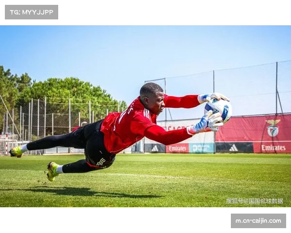 中小球队主场优势明显 客场取分能力成晋级分水岭